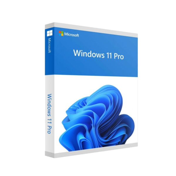 WINDOWS PRO 11 64BIT FRENCH 1PK DSP OEI DVD
